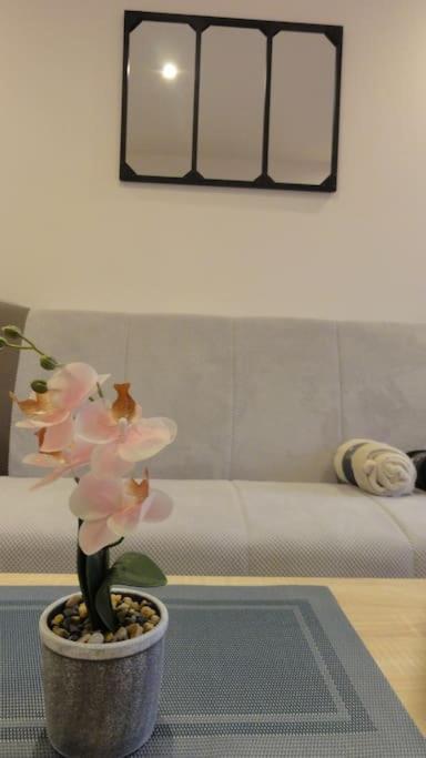 Апартаменты Le Belvedere Dernier Etage Avec Terrasse Wifi Fibre Тарб Экстерьер фото